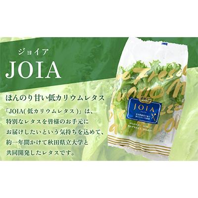 ふるさと納税 美浜町 【毎月定期便】低カリウムレタス&フリルレタス6個セット全4回 |  | 01