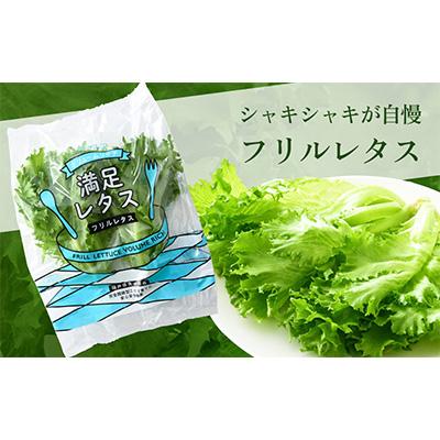 ふるさと納税 美浜町 【毎月定期便】低カリウムレタス&フリルレタス6個セット全4回 |  | 02