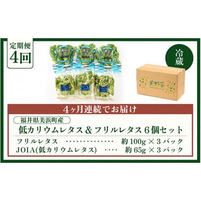 ふるさと納税 美浜町 【毎月定期便】低カリウムレタス&フリルレタス6個セット全4回 |  | 03