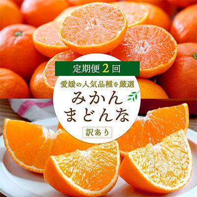 ふるさと納税 八幡浜市 [発送月固定定期便]愛媛の人気2品種を堪能!みかんまどんな食べ比べ(訳あり)全2回[E25-119]