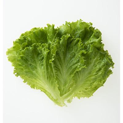 ふるさと納税 高山市 [毎月定期便]飛騨高山野菜『おおごっつぉ』詰合せ全3回