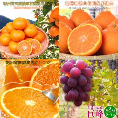 ふるさと納税 有田川町 [発送月固定定期便]紀州和歌山産旬の果物セット(みかん・不知火・清見・巨峰)全4回