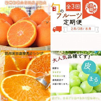ふるさと納税 有田川町 [発送月固定定期便]紀州和歌山産旬の果物セット(不知火・清見・シャイン)全3回
