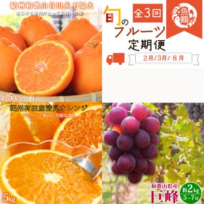 ふるさと納税 有田川町 [発送月固定定期便]紀州和歌山産旬の果物セット(不知火・清見・巨峰)全3回