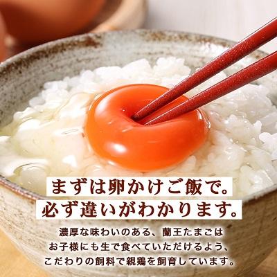 ふるさと納税 日出町 【毎月定期便】蘭王たまご 10個入り3パック ギフト箱でお届け全3回 |  | 01