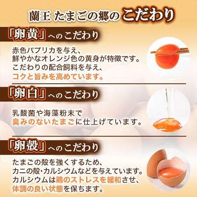 ふるさと納税 日出町 【毎月定期便】蘭王たまご 10個入り3パック ギフト箱でお届け全6回 |  | 02