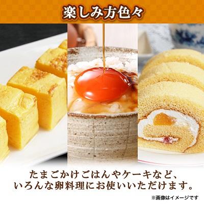 ふるさと納税 日出町 【毎月定期便】蘭王たまご 10個入り3パック ギフト箱でお届け全6回 |  | 03