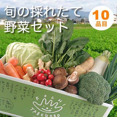 ふるさと納税 香美市 [毎月定期便]『定期便』野菜詰合せセット全3回