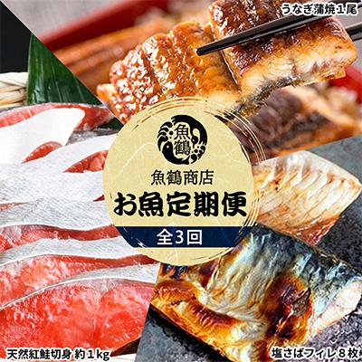 ふるさと納税 湯浅町 [毎月定期便]魚鶴商店が選ぶ人気お魚A(サバフィレ・うなぎ蒲焼・紅鮭切身)全3回