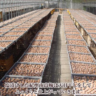 ふるさと納税 御坊市 【3ヵ月毎定期便】紀州南高梅しそ漬つぶれ(塩分約15%) 全3回_3