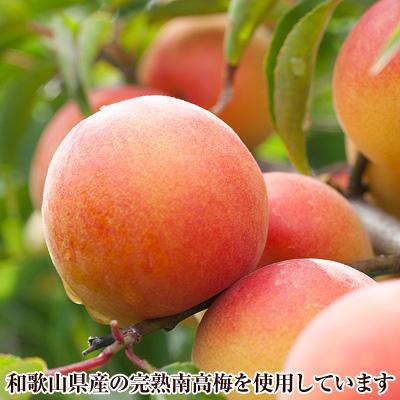 ふるさと納税 御坊市 【3ヵ月毎定期便】紀州南高梅うす塩つぶれ(塩分約6%) 全3回_2