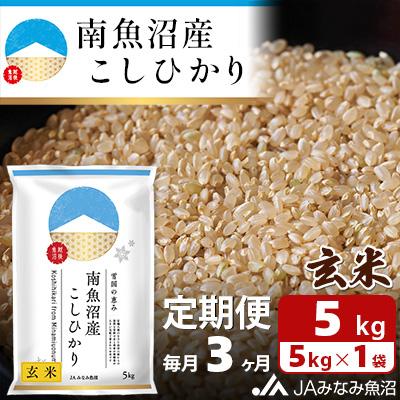 ふるさと納税 南魚沼市 [毎月定期便]南魚沼産こしひかり 玄米 5kg全3回