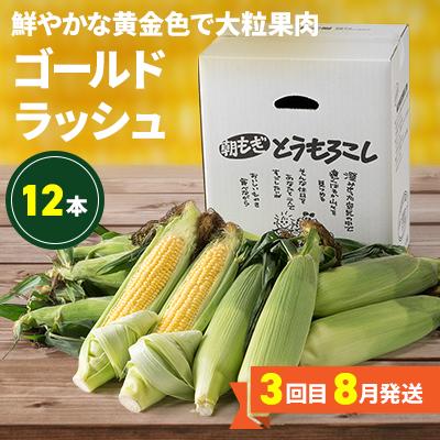 ふるさと納税 旭川市 【発送月固定定期便】2027年6月発送開始とれたて旬鮮便北海道旭川市から旬の定期便01107_全3回 |  | 03