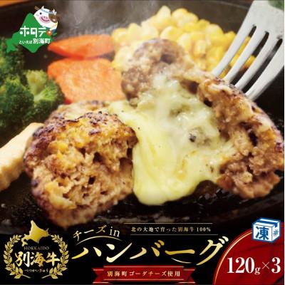 ふるさと納税 別海町 [毎月定期便]チーズがとろける!別海チーズインハンバーグ(120g×3個)全2回