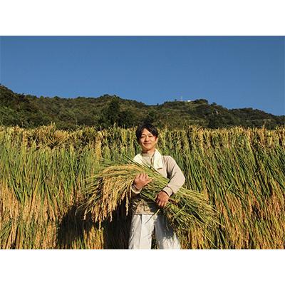 ふるさと納税 魚沼市 【毎月定期便】魚沼産特別栽培ミルキークイーン　精米5kg全2回 |  | 03