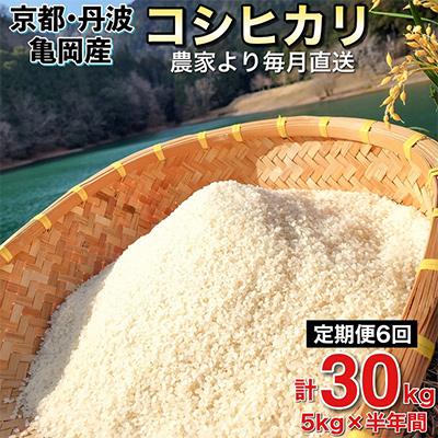 ふるさと納税 亀岡市 [毎月定期便]農家直送!佐伯の里 源流米 京都丹波産コシヒカリ5kg全6回