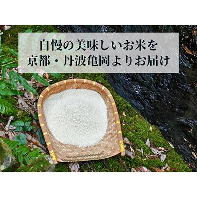 ふるさと納税 亀岡市 【毎月定期便】農家直送!佐伯の里 源流米 京都丹波産コシヒカリ5kg全6回