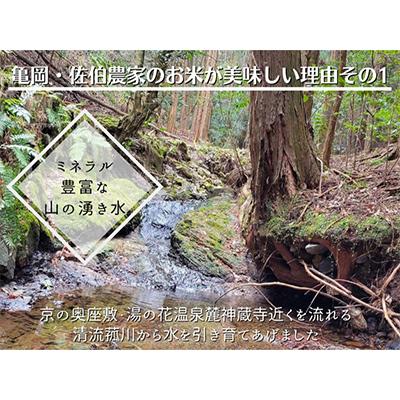 ふるさと納税 亀岡市 【毎月定期便】農家直送!佐伯の里 源流米 京都丹波産コシヒカリ5kg全6回