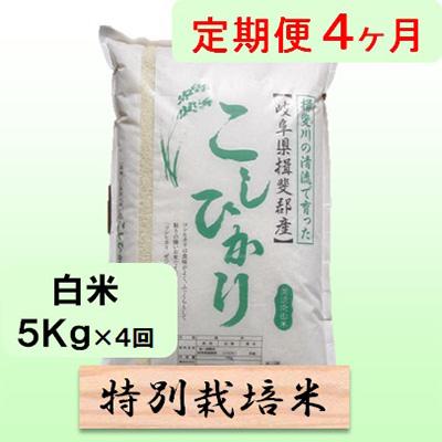 ふるさと納税 池田町 [毎月定期便]4ヶ月[令和7年産]特別栽培米5Kg[白米](コシヒカリ)全4回