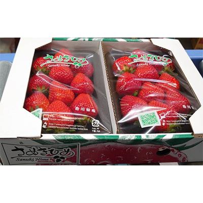 ふるさと納税 三木町 [発送月固定定期便]美味しい季節のフルーツ全6回