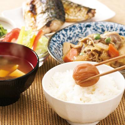 ふるさと納税 御坊市 【発送月固定定期便】紀州南高梅はちみつ風味1.5kg(500g×3)(2月・6月・10月)全3回_3