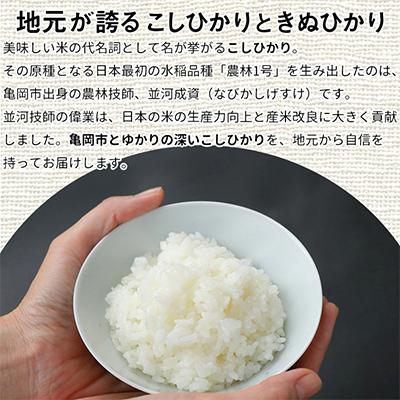 ふるさと納税 亀岡市 【毎月定期便】京都丹波米 こしひかり5kg・きぬひかり5kg 食べ比べ全3回_1