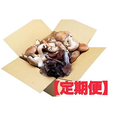 ふるさと納税 玉野市 [毎月定期便]オーガニック 椎茸800g&amp;きくらげ200g全3回