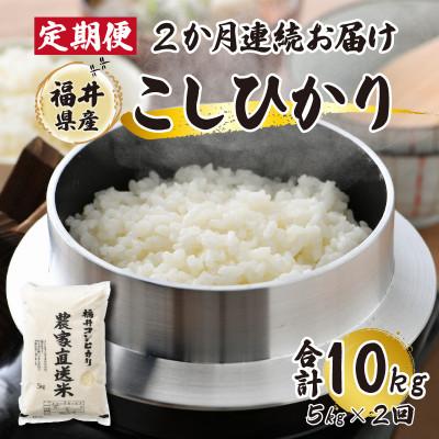 ふるさと納税 小浜市 [毎月定期便]農家直送米福井こしひかり5kg全2回
