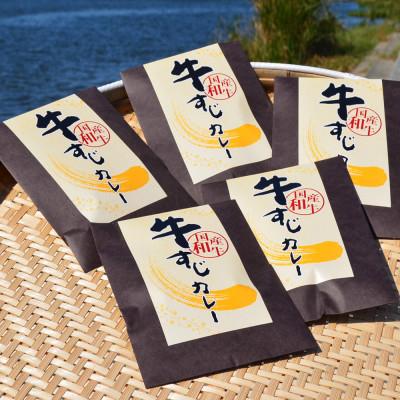 ふるさと納税 岡垣町 【送りとどける月くっ付ける定期便】ゴロッ!と入ったコラーゲン牛すじカレー5食仕かける(岡垣町)全6回