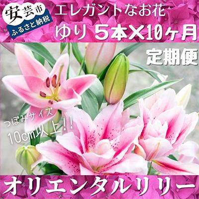 ふるさと納税 安芸市 [発送月固定定期便]ユリ(オリエンタルリリー)5本×全10回