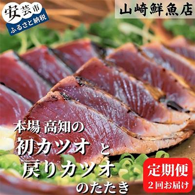 ふるさと納税 安芸市 [発送月固定定期便]本場 高知の初カツオと戻りカツオのたたき定期便 4節セット×全2回