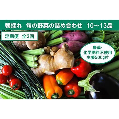 ふるさと納税 香美市 [毎月定期便]旬の野菜と栽培期間中農薬不使用の生姜付き全3回