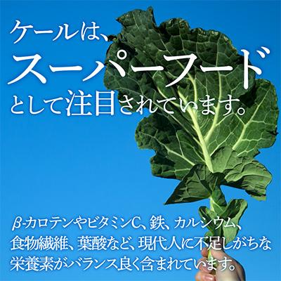 ふるさと納税 磐田市 【毎月定期便】青汁 無添加 ケールジュース 90ml×20パック 健康 腸活応援 スムージー 全6回_1