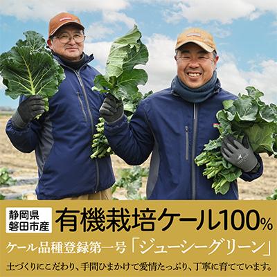 ふるさと納税 磐田市 【毎月定期便】青汁 無添加 ケールジュース 90ml×20パック 健康 腸活応援 スムージー 全6回_3