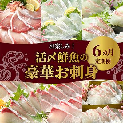 ふるさと納税 延岡市 【毎月定期便】【ふるさと納税】活〆鮮魚のお刺身全6回 | 