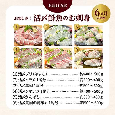 ふるさと納税 延岡市 【毎月定期便】【ふるさと納税】活〆鮮魚のお刺身全6回 |  | 01