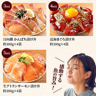 ふるさと納税 「【ぶり】【たたき】【さしみ】炙り ブリ 鰤炎 600g(２～３ピース) 新感覚！ 魚を肉のように食べる！ 特製じゃばらダレ漬け / 鰤 ぶりタタキ タタキ 刺身 さしみ 魚 海鮮 魚貝 丼 おかず カルパッチョ 漬け 切身 グルメ 冷凍 養殖 串本町 和歌山 県 ... | ふるさと納税 魚貝類 サーモン 石川県 - 潮屋 たたき（鰤・サーモン・能登ふぐ）詰め合わせ | ...