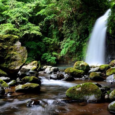 ふるさと納税 小林市 【毎月定期便】霧島のおいしい2L(1箱6本入)全12回_2
