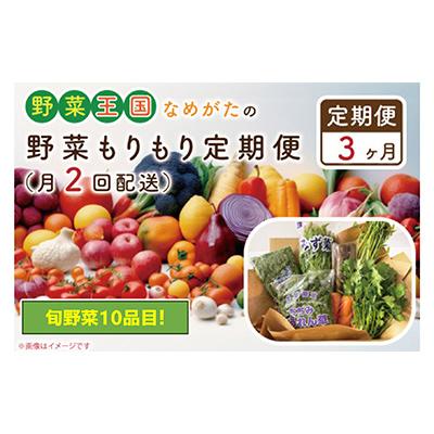 ふるさと納税 行方市 [2週間毎定期便][3ヶ月定期便]野菜王国なめがたの野菜もりもり定期便 月2回発送CU-140全6回