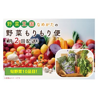 ふるさと納税 行方市 [2週間毎定期便]野菜王国なめがたの野菜もりもり便(月2回発送)CU-139 全2回