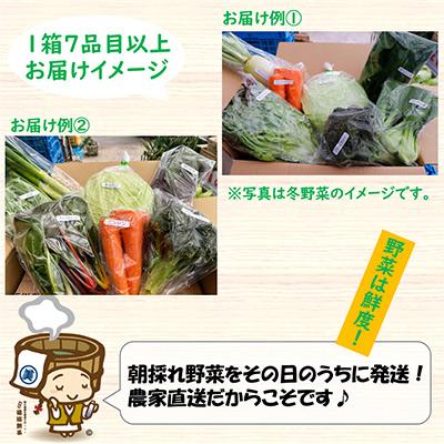 ふるさと納税 あわら市 【毎月定期便】 農家直送 旬の野菜セット 7品目