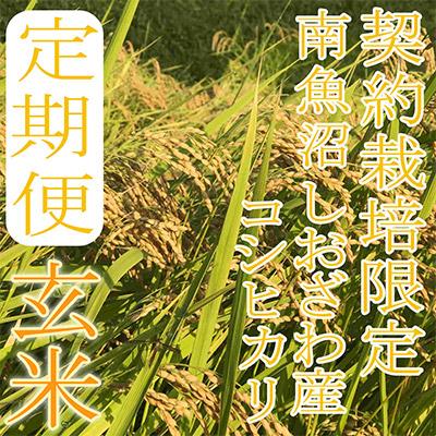 ふるさと納税 南魚沼市 【毎月定期便】【玄米2Kg】生産者限定 南魚沼しおざわ産コシヒカリ全6回の画像
