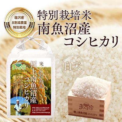 ふるさと納税 南魚沼市 [毎月定期便]特別栽培米「南魚沼産コシヒカリ」白米5kg 全3回