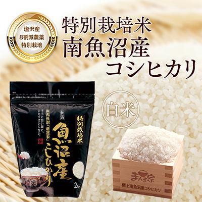ふるさと納税 南魚沼市 【毎月定期便】特別栽培米「南魚沼産コシヒカリ