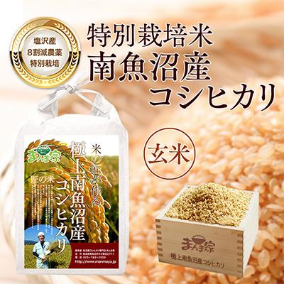 ふるさと納税 南魚沼市 [毎月定期便]特別栽培米「南魚沼産コシヒカリ」玄米5kg 全3回