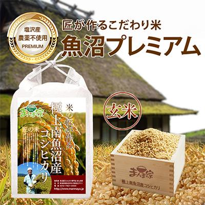 ふるさと納税 南魚沼市 [毎月定期便]特別栽培米「南魚沼産コシヒカリ」(栽培期間中農薬・化学肥料不使用)玄米5kg 全3回