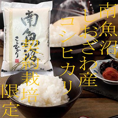 ふるさと納税 南魚沼市 [毎月定期便]契約栽培限定 南魚沼しおざわ産コシヒカリ 精米2Kg 全3回