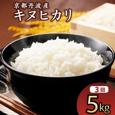 ふるさと納税 亀岡市 [毎月定期便]JA京都 たわわ朝霧の京都丹波産 キヌヒカリ5kg 全3回