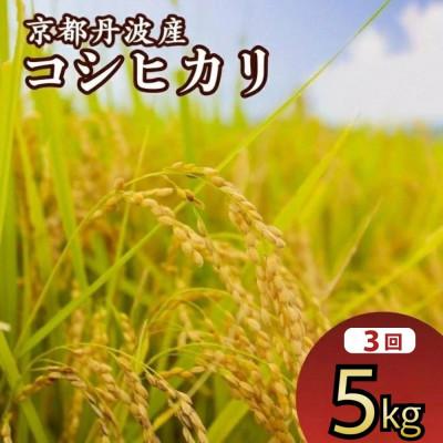 ふるさと納税 亀岡市 [毎月定期便]JA京都 たわわ朝霧の京都丹波産 コシヒカリ5kg 全3回