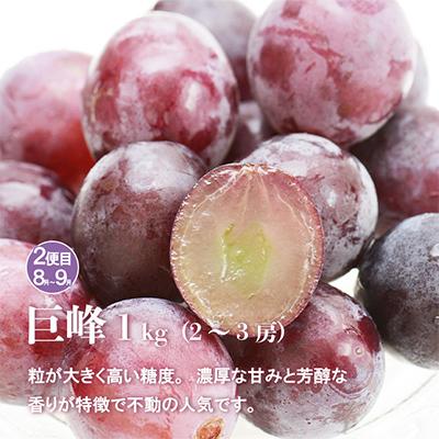 ふるさと納税 笛吹市 【発送月固定定期便】山梨の美味しい果物 桃・巨峰・シャインマスカット全3回 |  | 02